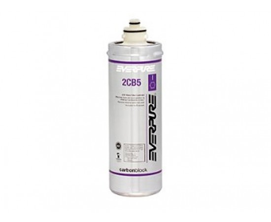 Everpure 2CB5-K Replacement Water Filter Cartridge EV9617-06